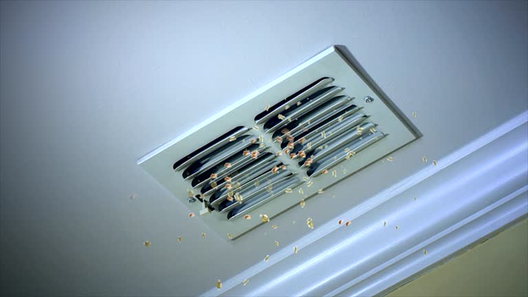 Best HVAC Air Duct Cleaning  in Enterprise, UT